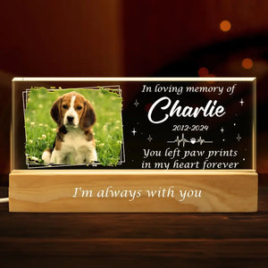 Photo personnalisée que vous avez laissée dans mon cœur pour toujours - Lettres acryliques personnalisées 3D LED veilleuse - Cadeau de condoléances pour les propriétaires d'animaux et les amoureux des animaux