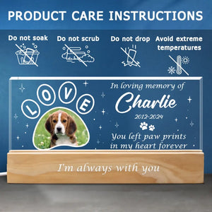 Photo personnalisée Votre lumière brillera toujours dans mon cœur - Lettres acryliques personnalisées commémoratives Veilleuse LED 3D - Cadeau de condoléances pour les propriétaires d'animaux et les amoureux des animaux