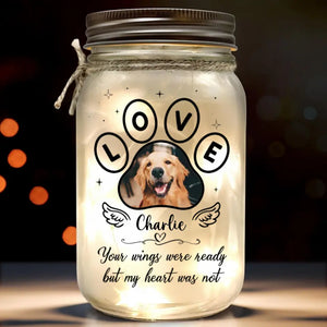Photo personnalisée « Vous avez transformé nos vies » - Lampe commémorative personnalisée en pot Mason - Cadeau de condoléances pour les propriétaires et les amoureux des animaux