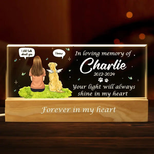 No Longer By Our Sides But Forever In Our Hearts - Memorial Personalized Custom Acrylic Letters 3D LED Night Light - Sympathy Gift For Pet Owners, Pet Lovers