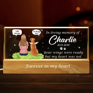 No Longer By Our Sides But Forever In Our Hearts - Memorial Personalized Custom Acrylic Letters 3D LED Night Light - Sympathy Gift For Pet Owners, Pet Lovers