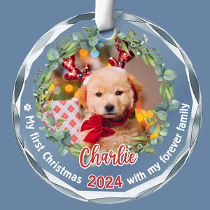 Photo personnalisée : Célébrez Noël avec vos amis à quatre pattes - Ornement en verre rond personnalisé pour chien et chat - Cadeau de Noël pour propriétaires d'animaux, amoureux des animaux, premier Noël