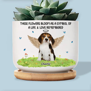 Photo personnalisée « Ne pleurez pas parce que c'est fini, souriez parce que c'est arrivé » - Pot de fleurs en céramique personnalisé pour décoration d'intérieur - Cadeau de condoléances pour les propriétaires d'animaux et les amoureux des animaux