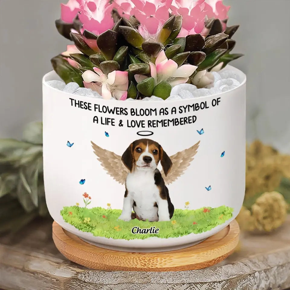 Photo personnalisée « Ne pleurez pas parce que c'est fini, souriez parce que c'est arrivé » - Pot de fleurs en céramique personnalisé pour décoration d'intérieur - Cadeau de condoléances pour les propriétaires d'animaux et les amoureux des animaux