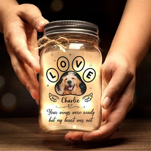 Photo personnalisée « Vous avez transformé nos vies » - Lampe commémorative personnalisée en pot Mason - Cadeau de condoléances pour les propriétaires et les amoureux des animaux