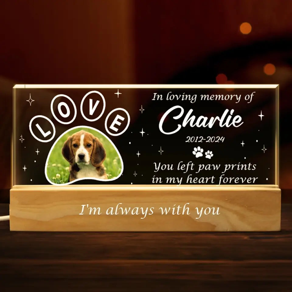Photo personnalisée Votre lumière brillera toujours dans mon cœur - Lettres acryliques personnalisées commémoratives Veilleuse LED 3D - Cadeau de condoléances pour les propriétaires d'animaux et les amoureux des animaux