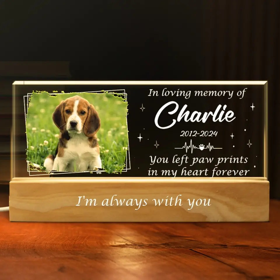 Photo personnalisée que vous avez laissée dans mon cœur pour toujours - Lettres acryliques personnalisées 3D LED veilleuse - Cadeau de condoléances pour les propriétaires d'animaux et les amoureux des animaux