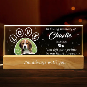 Photo personnalisée Votre lumière brillera toujours dans mon cœur - Lettres acryliques personnalisées commémoratives Veilleuse LED 3D - Cadeau de condoléances pour les propriétaires d'animaux et les amoureux des animaux