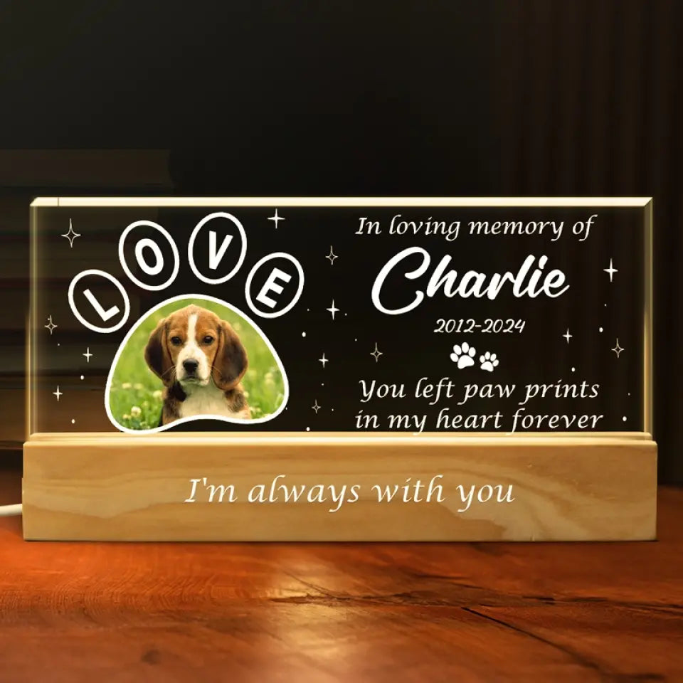 Photo personnalisée Votre lumière brillera toujours dans mon cœur - Lettres acryliques personnalisées commémoratives Veilleuse LED 3D - Cadeau de condoléances pour les propriétaires d'animaux et les amoureux des animaux