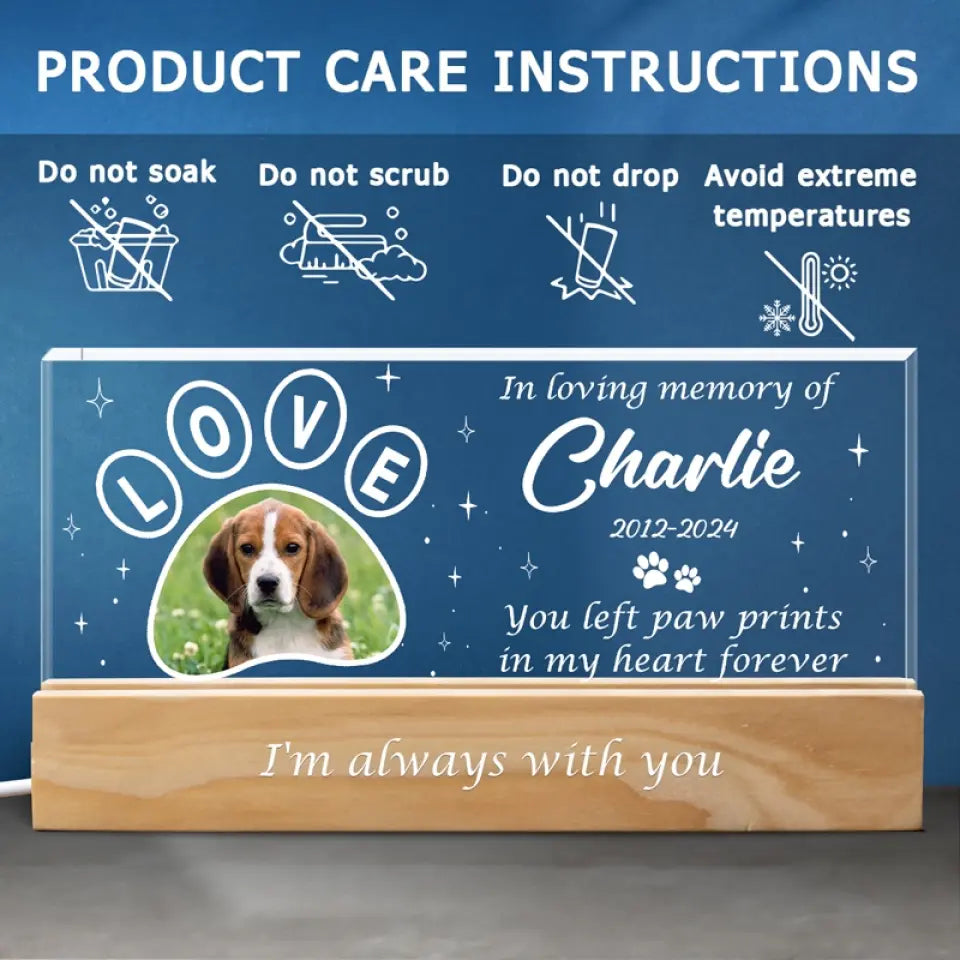Photo personnalisée Votre lumière brillera toujours dans mon cœur - Lettres acryliques personnalisées commémoratives Veilleuse LED 3D - Cadeau de condoléances pour les propriétaires d'animaux et les amoureux des animaux