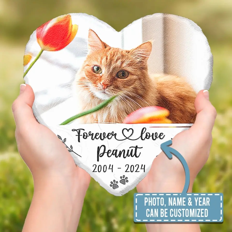 Photo personnalisée : les choses ont une fin, mais les souvenirs durent pour toujours - Pierre commémorative personnalisée en forme de cœur - Cadeau de condoléances pour les propriétaires d'animaux et les amoureux des animaux