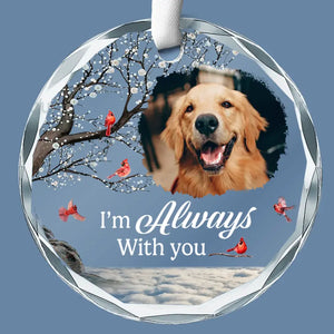Photo personnalisée : un compagnon est parti, mais le souvenir perdure - Ornement en verre rond personnalisé commémoratif - Cadeau de condoléances pour les propriétaires et les amoureux des animaux