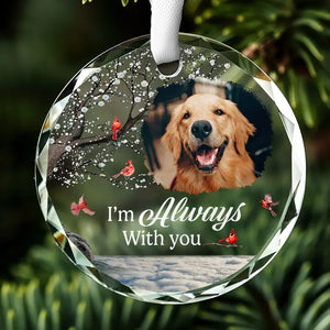 Photo personnalisée : un compagnon est parti, mais le souvenir perdure - Ornement en verre rond personnalisé commémoratif - Cadeau de condoléances pour les propriétaires et les amoureux des animaux