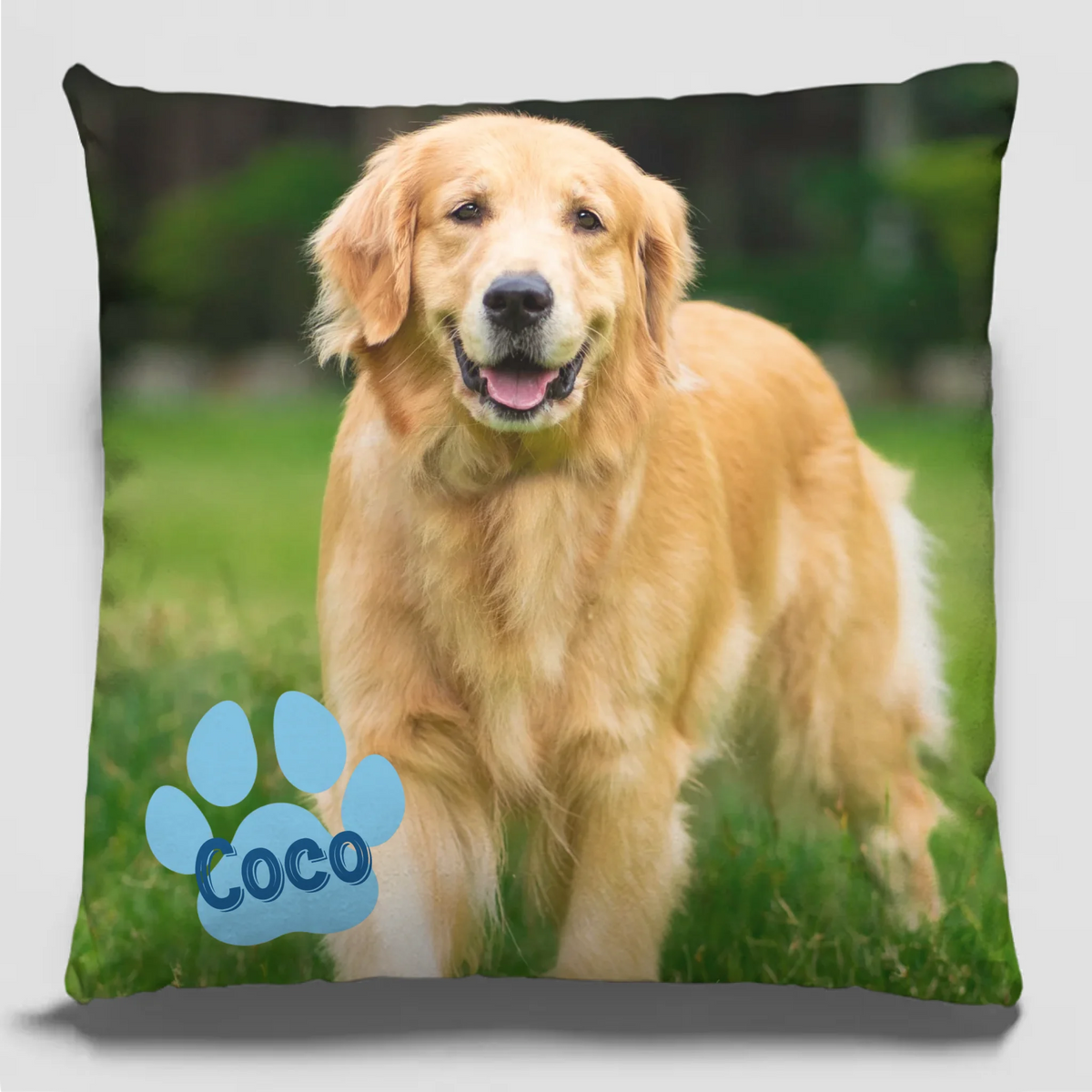Photo personnalisée : tout ce dont vous avez besoin, c'est d'amour et d'un animal de compagnie ! Coussin personnalisé pour chien et chat ! Cadeau pour les propriétaires et les amoureux des animaux.
