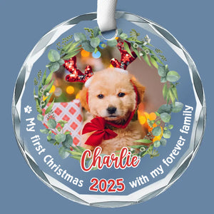 Custom Photo Celebrate Christmas With Furry Friends - Dog & Cat Personalized Custom Circle Glass Ornament - New Arrival, Christmas Gift For Pet Owners, Pet Lovers, First Christmas AMZ