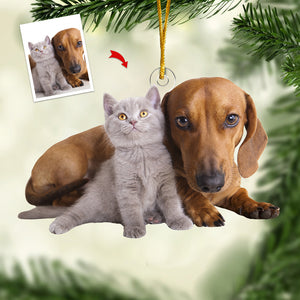 Photo personnalisée : Passez un Noël tout doux - Décoration personnalisée pour chien et chat - Forme personnalisée en acrylique - Cadeau de Noël pour les propriétaires et les amoureux des animaux