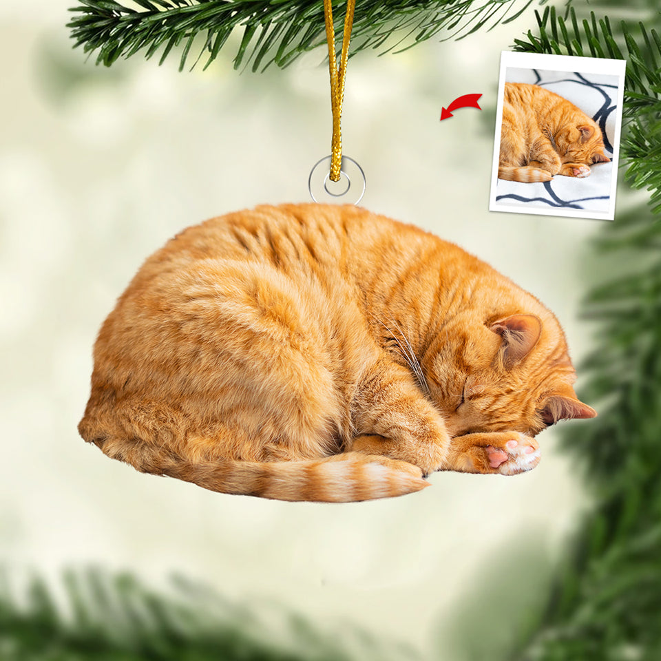 Custom Photo On The Naughty List - Dog & Cat Personalized Custom Ornament - Acrylic Custom Shaped - Christmas Gift For Pet Owners, Pet Lovers