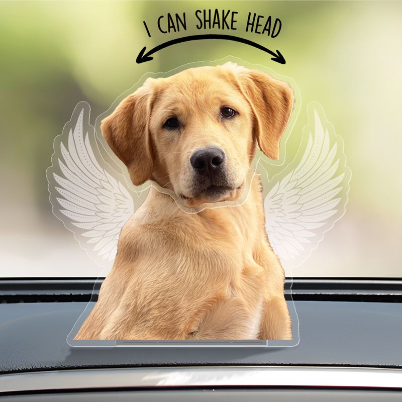 Photo personnalisée disparue mais jamais oubliée - Statuette commémorative personnalisée avec tête secouée - Téléchargez une photo, cadeau de condoléances pour les propriétaires d'animaux et les amoureux des animaux