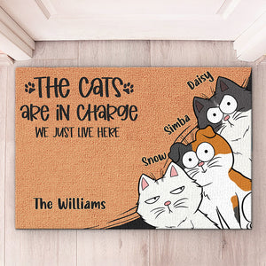 Le chat est aux commandes, nous vivons simplement ici - Tapis décoratif personnalisé pour chat - Cadeau pour les propriétaires d'animaux et les amoureux des animaux