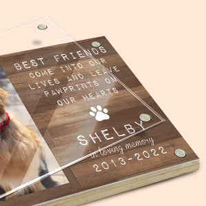 You're Always My Adorable Friends - Memorial Personalized Custom Acrylic Magnetic Photo Frame - Sympathy Gift, Gift For Pet Owners, Pet Lovers
