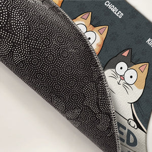 Ne laissez pas sortir les chats, quoi qu'ils vous disent ! Tapis décoratif personnalisé pour chat ! Cadeau pour les propriétaires et les amoureux des animaux.