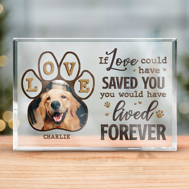 Photo personnalisée « Tant d'amour entre bonjour et au revoir » - Plaque commémorative rectangulaire en acrylique personnalisée - Cadeau de condoléances, cadeau pour propriétaires d'animaux de compagnie, amoureux des animaux