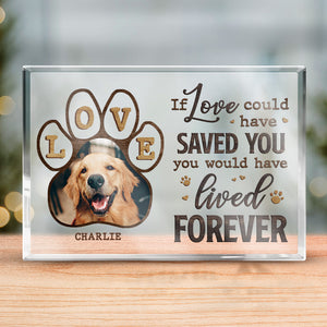 Photo personnalisée « Tant d'amour entre bonjour et au revoir » - Plaque commémorative rectangulaire en acrylique personnalisée - Cadeau de condoléances, cadeau pour propriétaires d'animaux de compagnie, amoureux des animaux