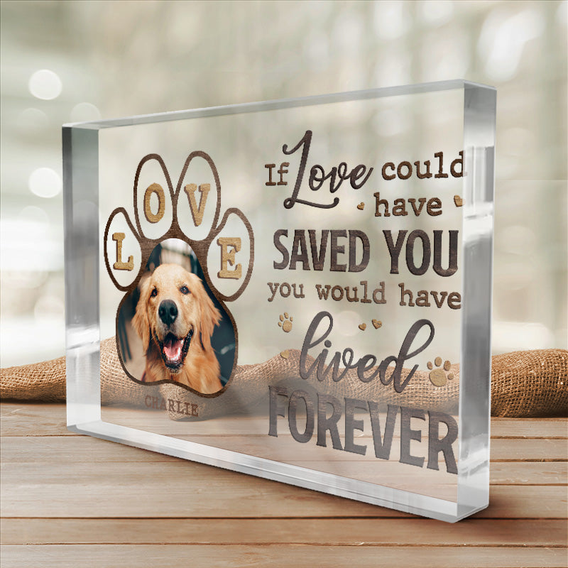 Photo personnalisée « Tant d'amour entre bonjour et au revoir » - Plaque commémorative rectangulaire en acrylique personnalisée - Cadeau de condoléances, cadeau pour propriétaires d'animaux de compagnie, amoureux des animaux