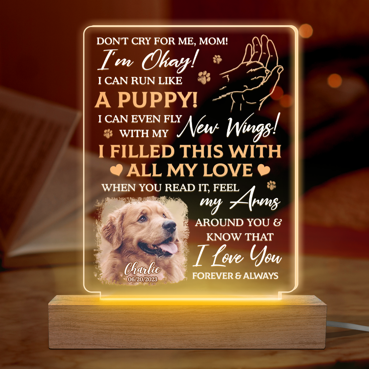 Photo personnalisée « J'ai rempli ceci de tout mon amour » – Lampe LED 3D personnalisée en forme de mémorial – Cadeau de condoléances pour les propriétaires et les amoureux des animaux