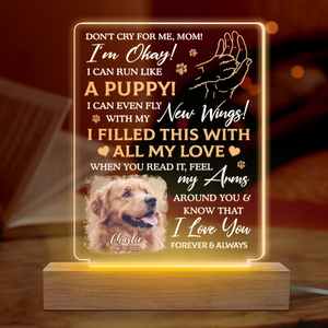 Photo personnalisée « J'ai rempli ceci de tout mon amour » – Lampe LED 3D personnalisée en forme de mémorial – Cadeau de condoléances pour les propriétaires et les amoureux des animaux