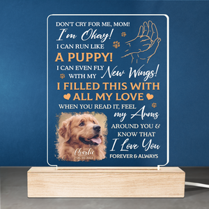 Photo personnalisée « J'ai rempli ceci de tout mon amour » – Lampe LED 3D personnalisée en forme de mémorial – Cadeau de condoléances pour les propriétaires et les amoureux des animaux