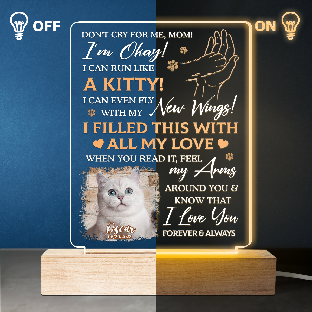 Photo personnalisée « J'ai rempli ceci de tout mon amour » – Lampe LED 3D personnalisée en forme de mémorial – Cadeau de condoléances pour les propriétaires et les amoureux des animaux