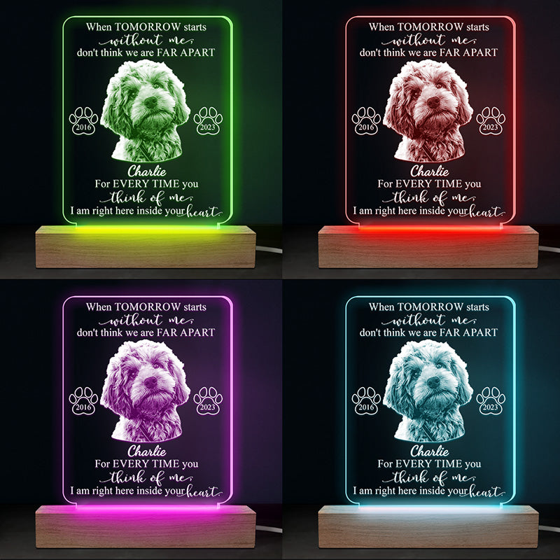 Custom Photo Every Time You Think Of Me - Memorial Personalized Custom Shaped 3D LED Light - Sympathy Gift For Pet Owners, Pet Lovers