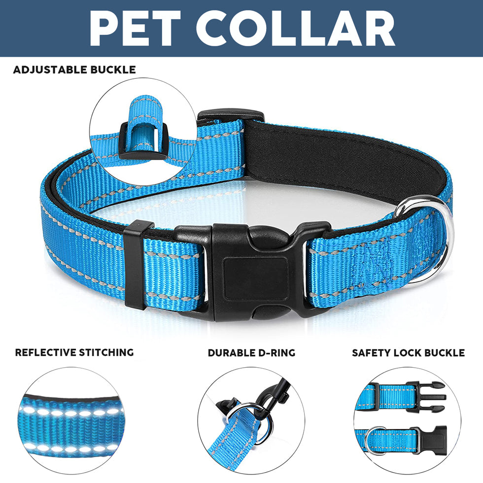 Collier pour chien et chat - Vente incitative