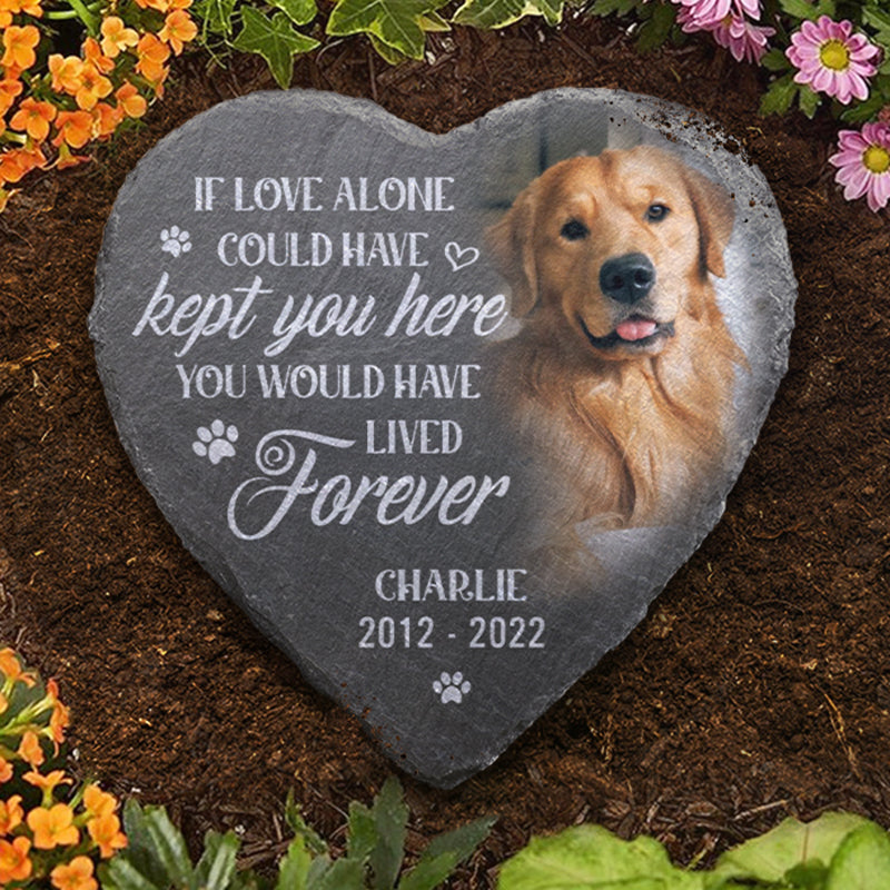 Custom Photo Heart Shaped Memorial Stone - Personalized Pet Memorial Sympathy Gifts For Dogs, Cats, Loss Of Dog - You Would Have Lived Forever