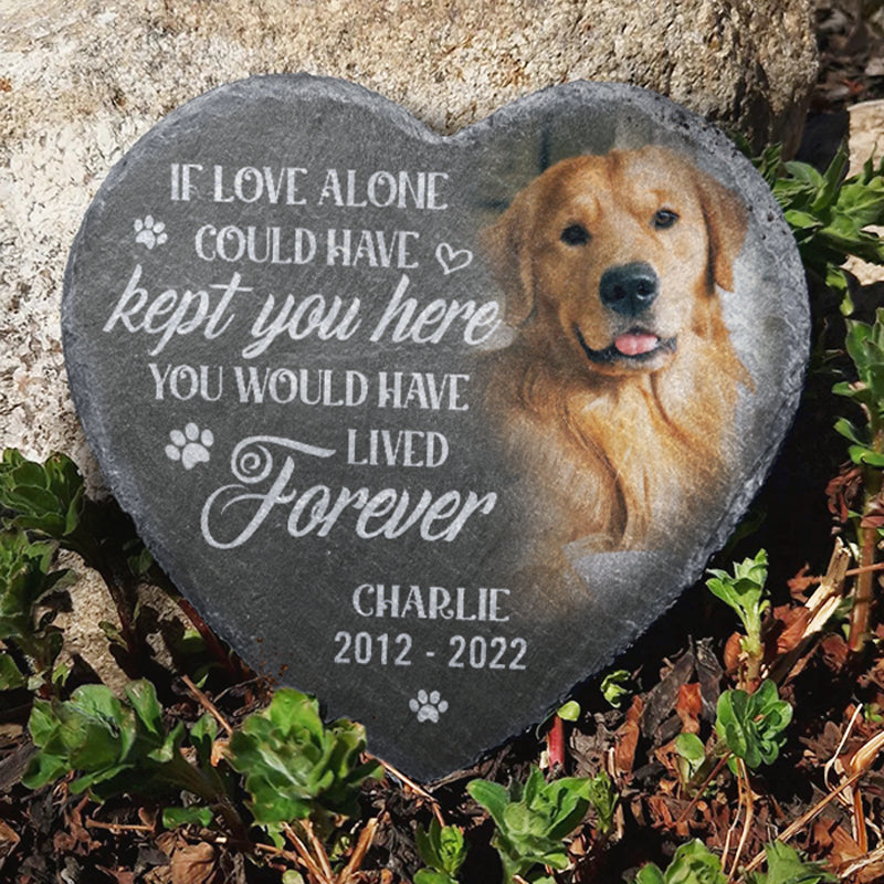 Custom Photo Heart Shaped Memorial Stone - Personalized Pet Memorial Sympathy Gifts For Dogs, Cats, Loss Of Dog - You Would Have Lived Forever