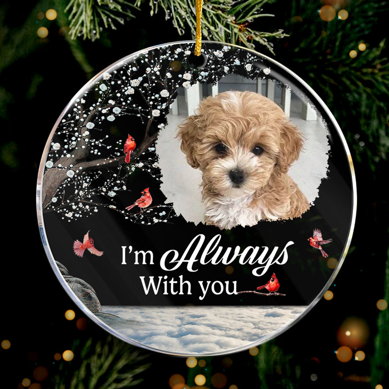 Photo personnalisée « Tu es mon meilleur souvenir » – Ornement personnalisé familial – Forme ronde en acrylique – Cadeau de Noël, cadeau de condoléances pour les propriétaires d'animaux et les amoureux des animaux