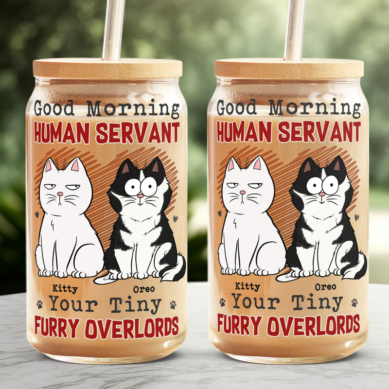Bonjour, serviteur humain, vos petits seigneurs à fourrure - Tasse en verre personnalisée pour chat, tasse à café glacé - Cadeau pour les propriétaires d'animaux et les amoureux des animaux