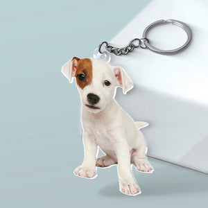 Custom Photo Acrylic Keychain - Personalized Birthday Gifts For Dog Cat Lovers, Dog Dad And Mom, Cat Owners - My Furry Friend Is My Holiday Cheer