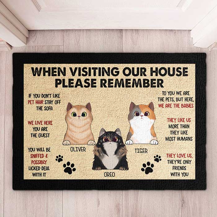 Pets' Rules When Visiting Our House - Cats And Dogs Personalized Decorative Mat.