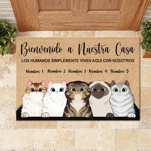 Bienvenido A Mi Casa Spanish - Funny Personalized Cat Decorative Mat (WT).