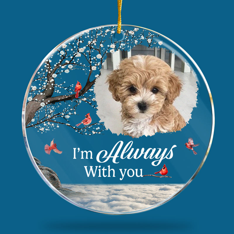 Photo personnalisée « Tu es mon meilleur souvenir » – Ornement personnalisé familial – Forme ronde en acrylique – Cadeau de Noël, cadeau de condoléances pour les propriétaires d'animaux et les amoureux des animaux